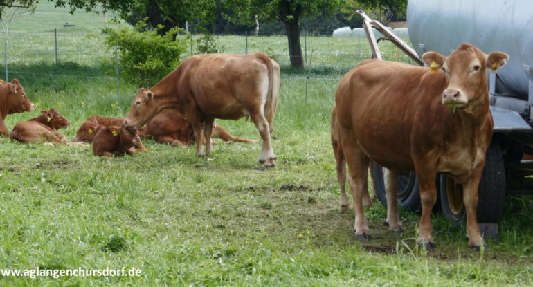 Aktuelle Probleme der Landwirte