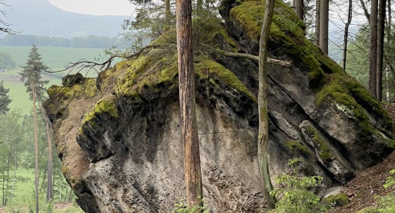 Lions – Family & Friends – Wandern in der Sächsischen Schweiz